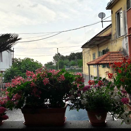 La Caldera Del Vesuvio Bed and Breakfast Ercolano Eksteriør billede