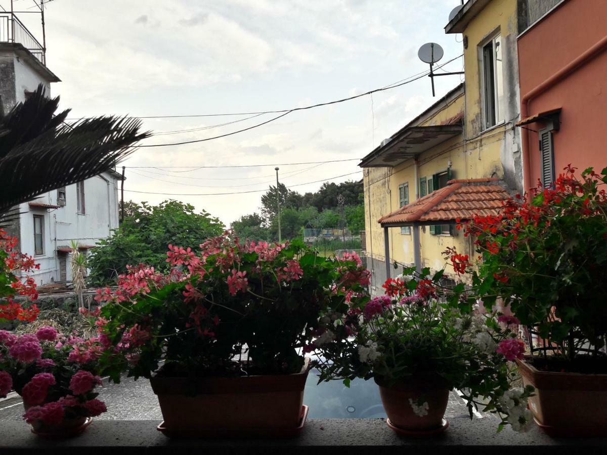 La Caldera Del Vesuvio Bed and Breakfast Ercolano Eksteriør billede